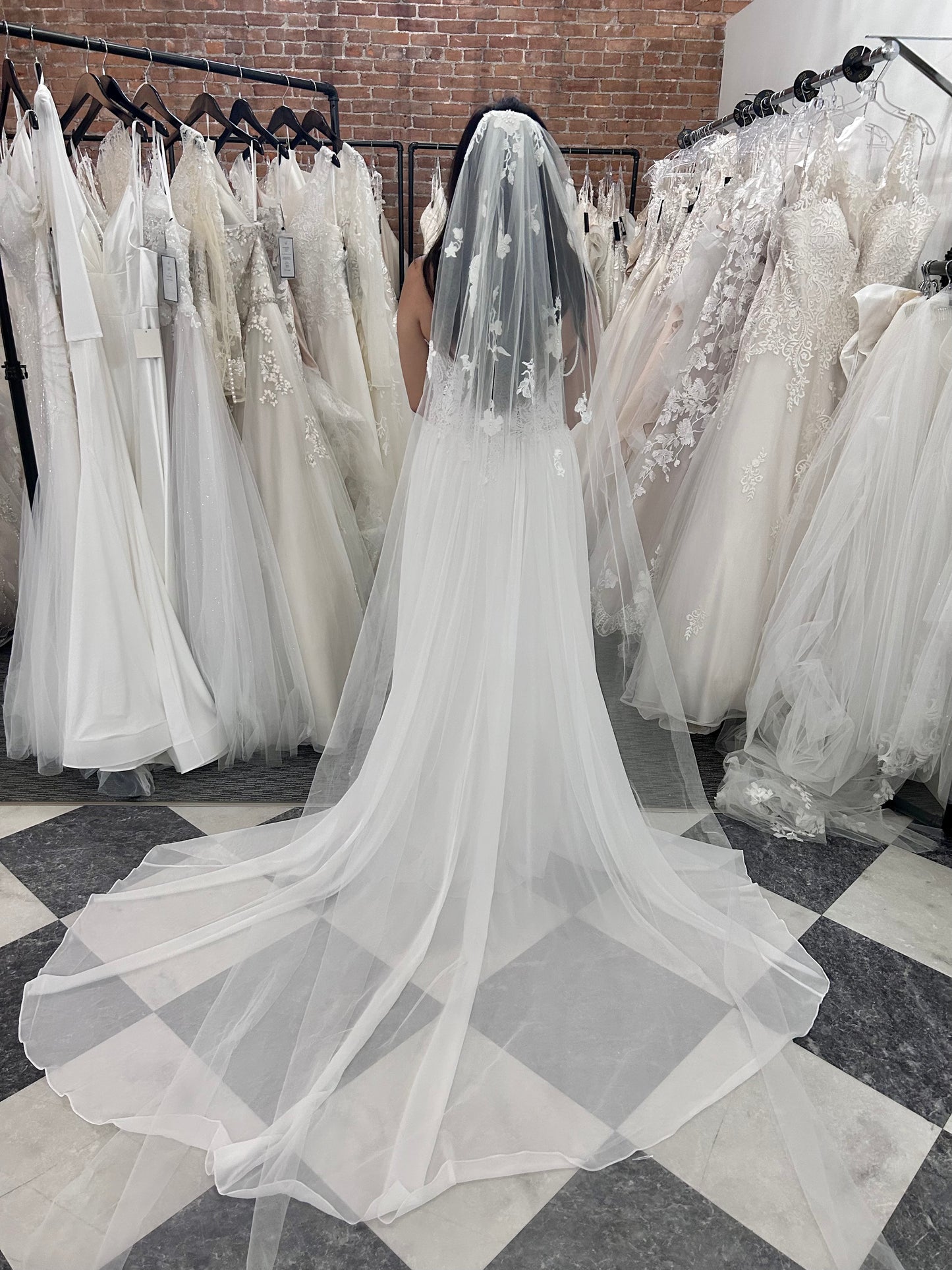 F020 Cathedral Length Lace Applique Minimalistic Veil by Aria Bride