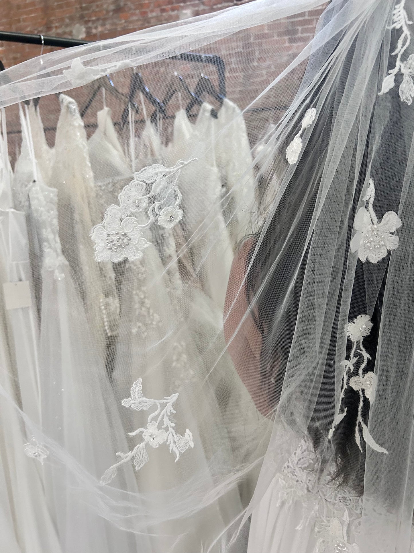 F020 Cathedral Length Lace Applique Minimalistic Veil by Aria Bride