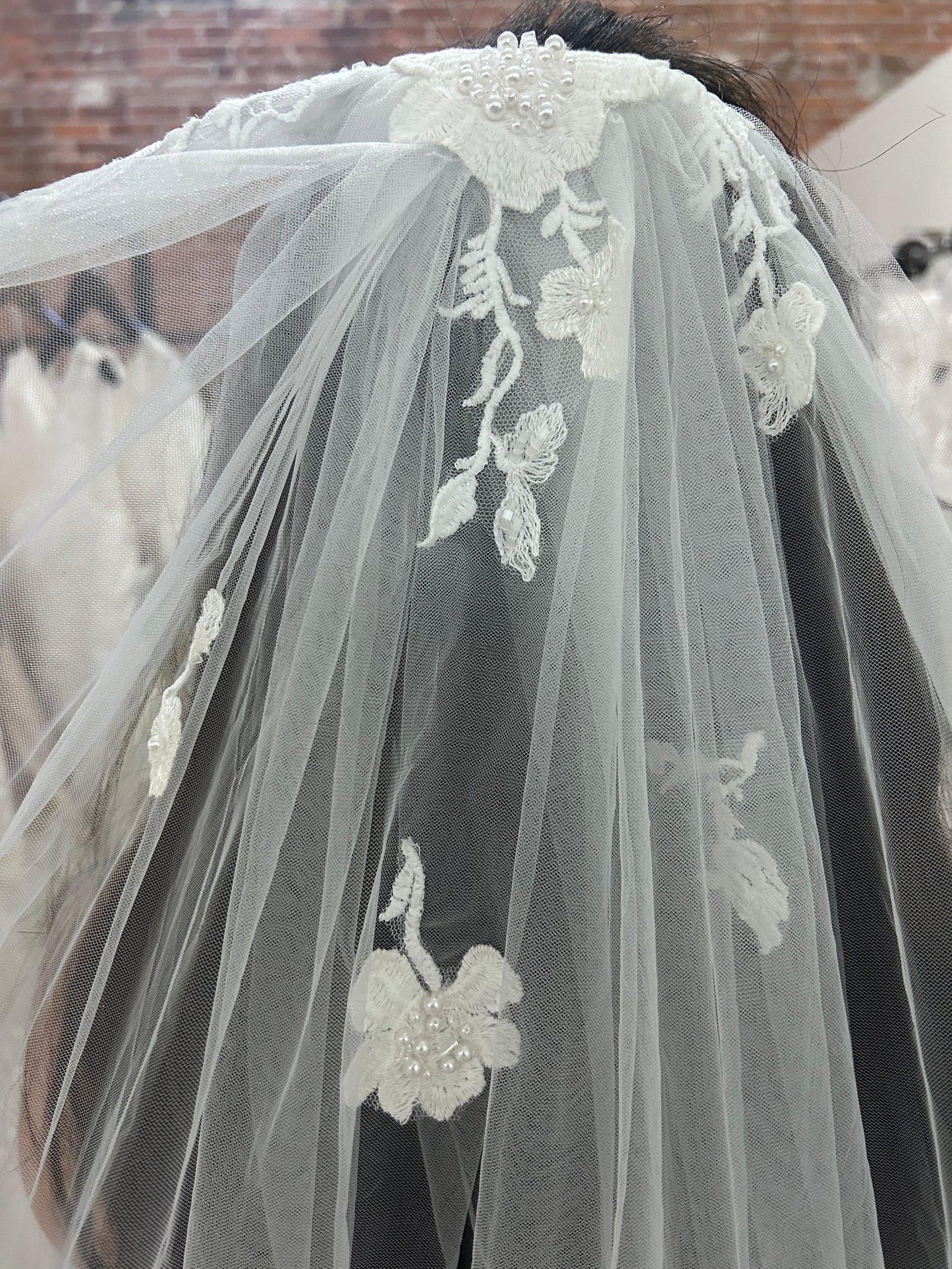 F020 Cathedral Length Lace Applique Minimalistic Veil by Aria Bride