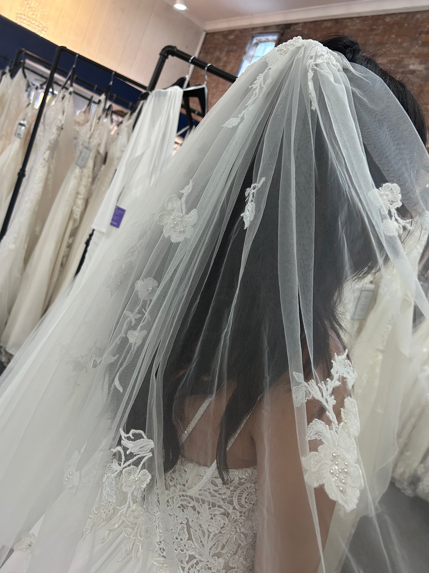 F020 Cathedral Length Lace Applique Minimalistic Veil by Aria Bride