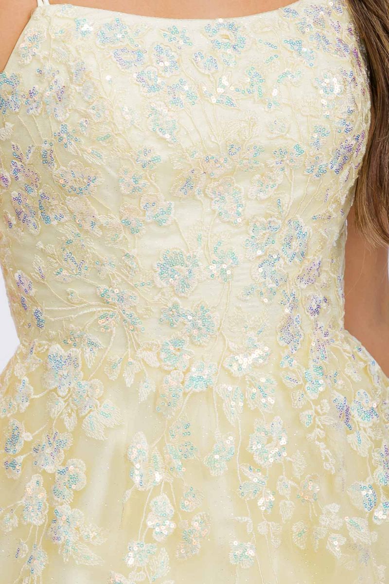 A Line Floral Lace Sequin Dress