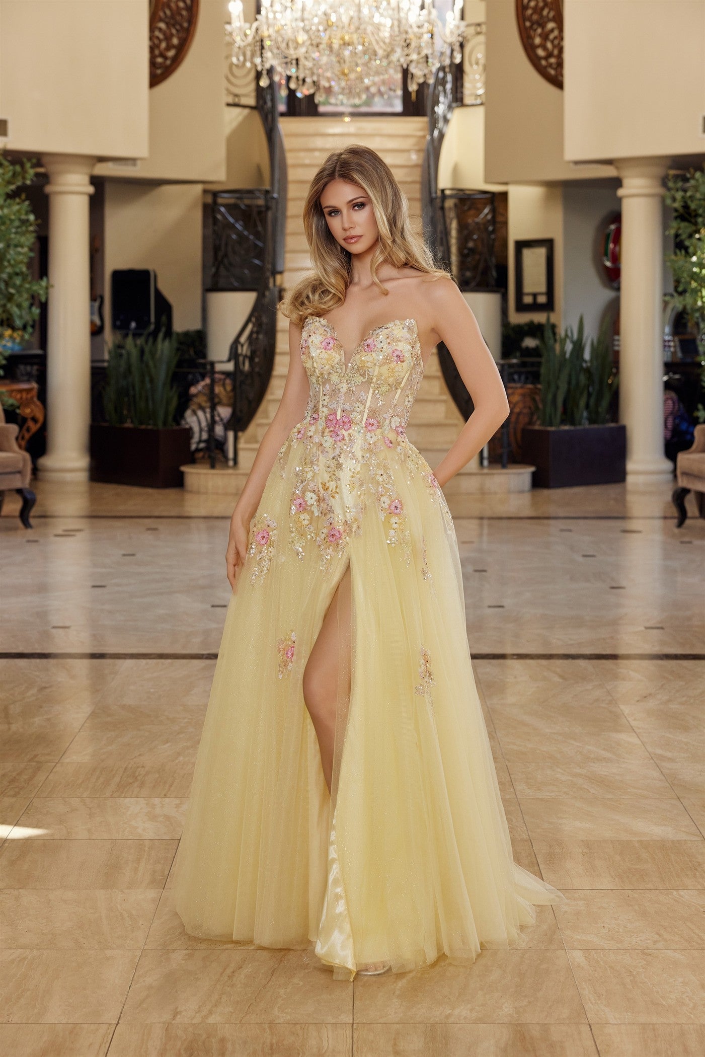 Fit and Flare Long Tulle Gown Plunging V Neckline