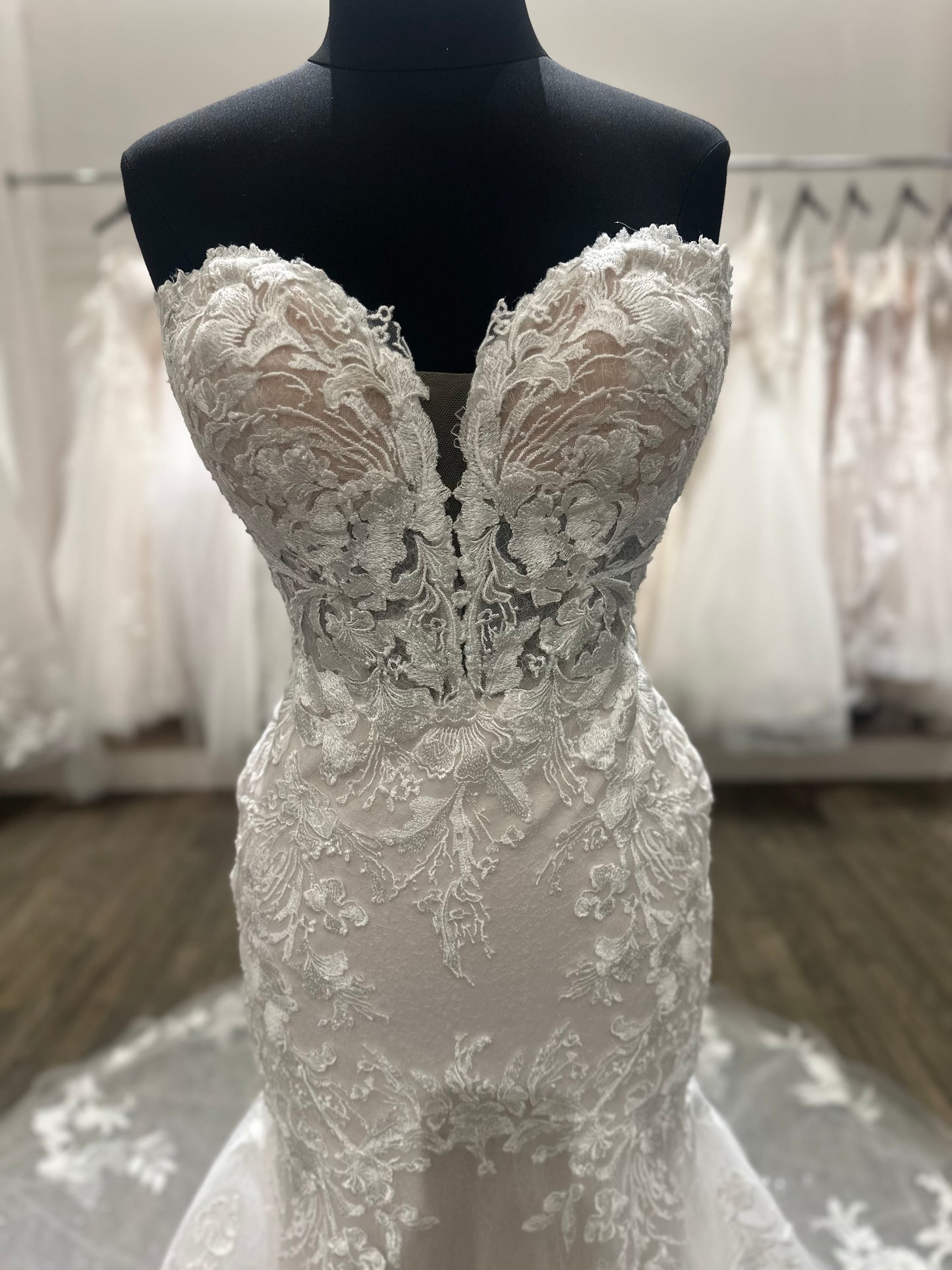 "Michaela" Y22176 Lace Sparkle Fit and Flare by Sophia Tolli