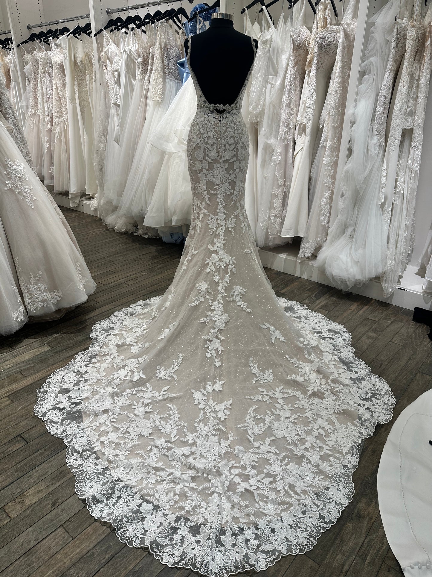 Iris by Martin Thornburg Fit & Flare