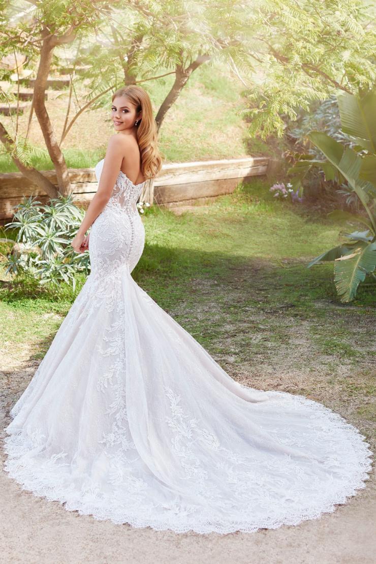 220261 "Solana" by Martin Thornburg Fit & Flare