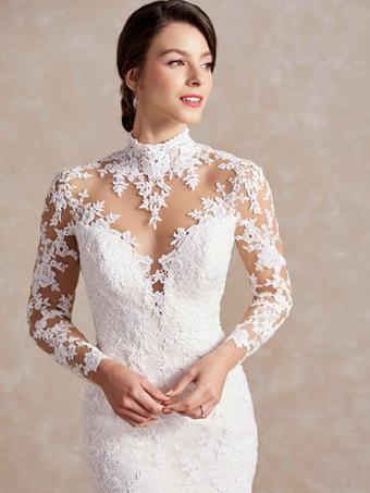 31177 by Adrianna Papell Lace Sheath Wedding Dress