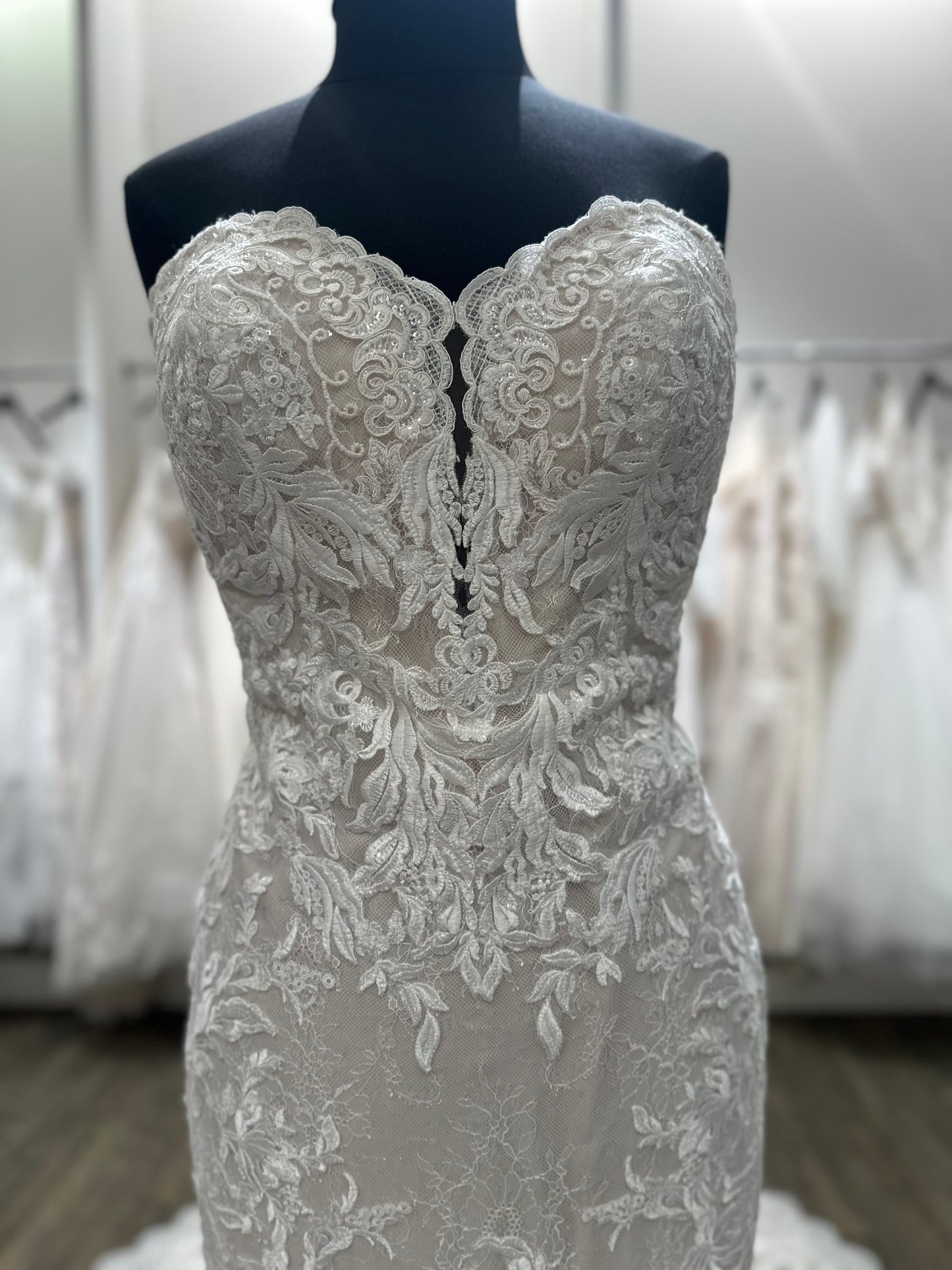 220261 "Solana" by Martin Thornburg Fit & Flare