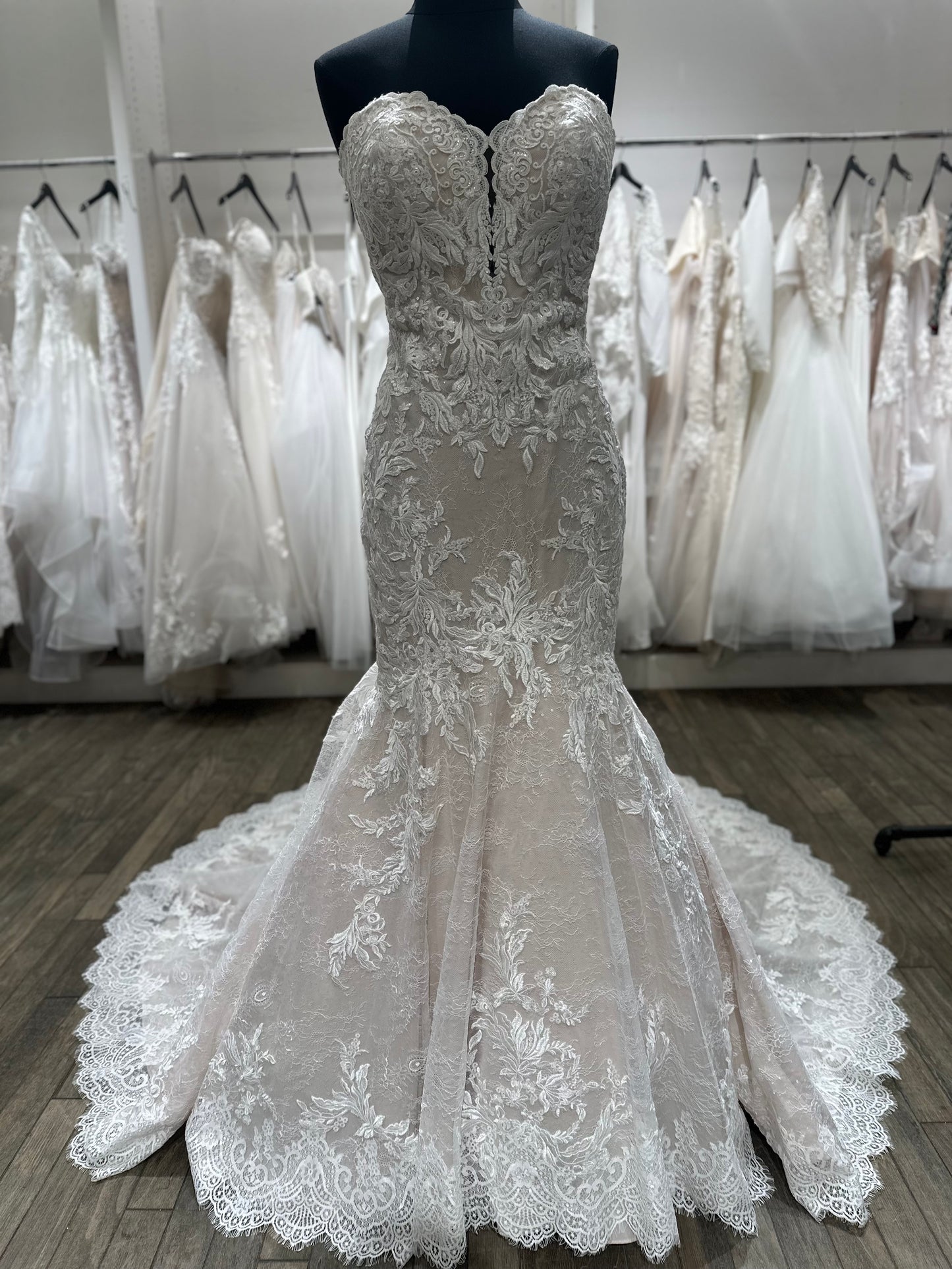 220261 "Solana" by Martin Thornburg Fit & Flare