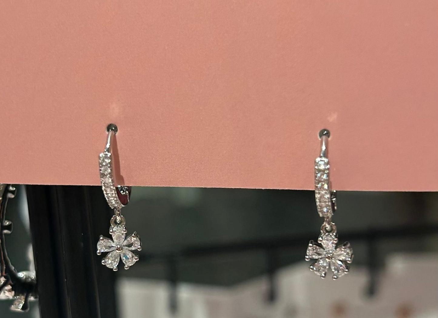Silver Hooped Earrings