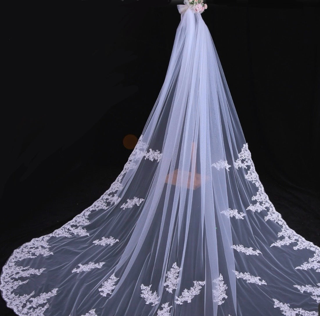 Elegant Lace Appliquéd Cathedral Length Bridal Veil