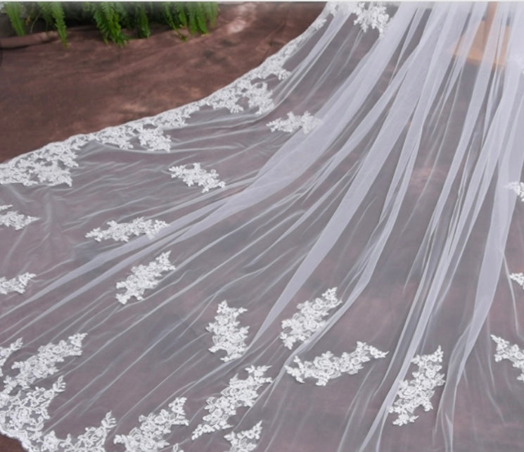 Elegant Lace Appliquéd Cathedral Length Bridal Veil