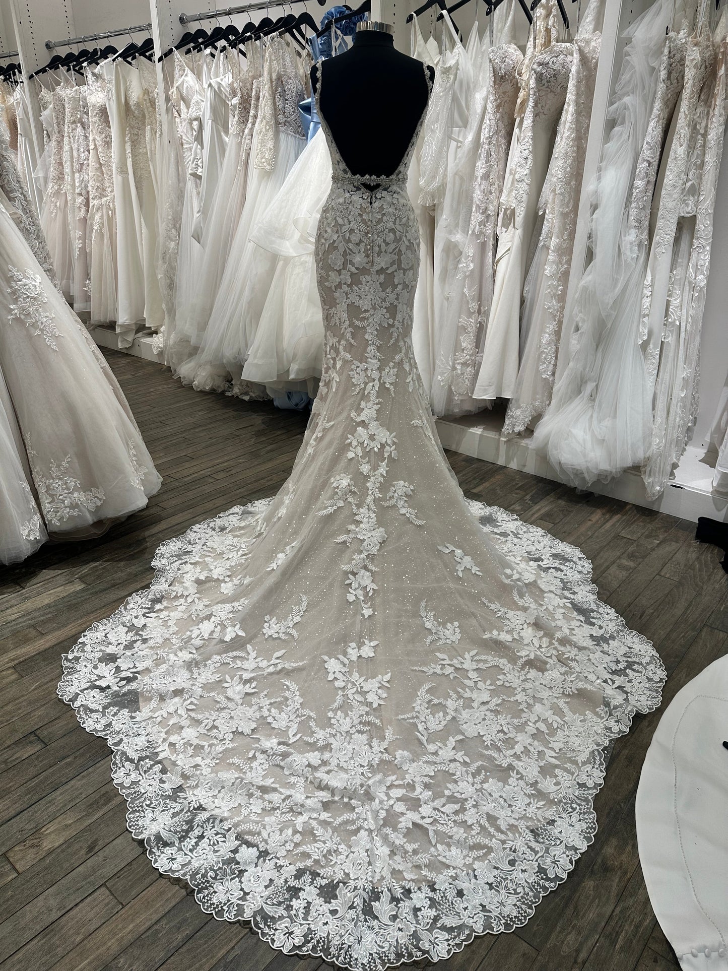 120234 Iris by Martin Thornburg Fit & Flare